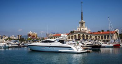 Обзорная по Сочи с посещением дельфинария и парка Ривьера — фото 2